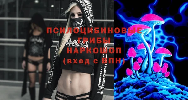 шишки Алзамай